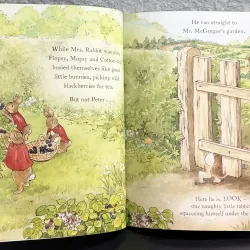 The Tale of a Naughty Little Rabbit 994861