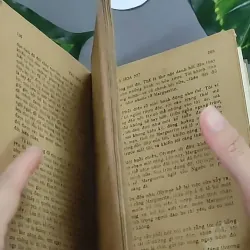 Trà Hoa Nữ 604659