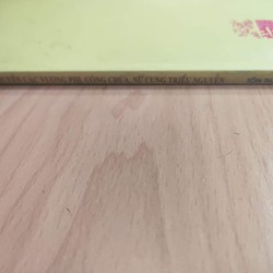 Kể chuyện các vương phi, công chúa, nữ cung triều Nguyễn- Tôn Thất Bình 72420