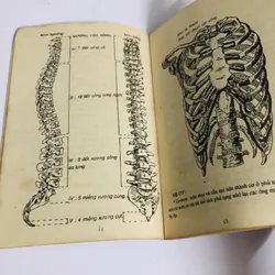 GẬY DƯỠNG SINH  720833