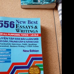 556 new best essays & writings