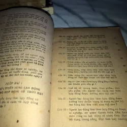 Tuyển dụng và cho thôi việc  990606