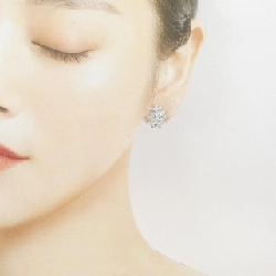 PT900/K14WG Bông tai kim cương - Hàng hiệu Chính hãng 872864