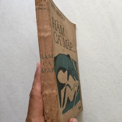 Hàm cá mập - Pito Benchly 523220