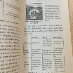 4 bước giải quyết vấn đề  930985