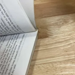 Lịch Sử Châu Âu - Đỗ Đức Thịnh Biên Soạn 961382