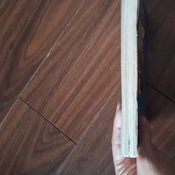 Những mẩu chuyện về các danh nhân thời trẻ 551498