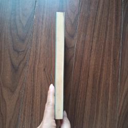 Dưới mắt tôi 505345