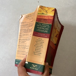 The Norton Anthology of American Literature by Nina Baym (1999, Trade Paperback) 509271
