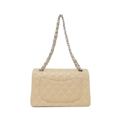 Túi xách vai Chanel 1113 - Hàng hiệu Authentic 802260