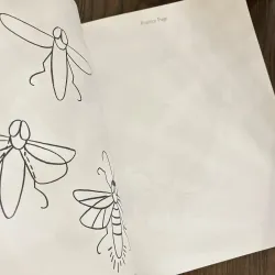 ✨𝑯𝒐𝒘 𝒕𝒐 𝑫𝒓𝒂𝒘 𝑰𝒏𝒔𝒆𝒄𝒕𝒔: 𝑺𝒕𝒆𝒑-𝒃𝒚-𝑺𝒕𝒆𝒑 𝑫𝒓𝒂𝒘𝒊𝒏𝒈𝒔!✨ 712564