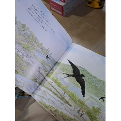 Truyện tranh bìa cứng Tiếng Hàn hình ba con chim mới 90% HCM0808 HỌC NGOẠI NGỮ 919327