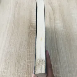 CHIẾN LƯỢC DỮ LIỆU  996119