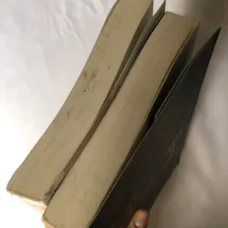 Trọn bộ 2 tập Thiên hạ là nàng - Nhuận Y 788625