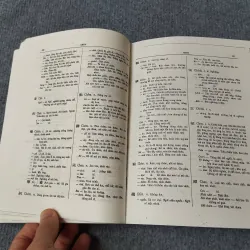 ĐẠI NAM QUỐC ÂM TỰ VỊ 729315