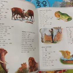 Tủ Sách Tri Thức Bách Khoa Bằng Hình - Thế Giới Động Vật | mới 100% bìa 350 1052778