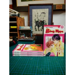 Truyện tranh Hồng Ngọc - Meca Tanaka 460833