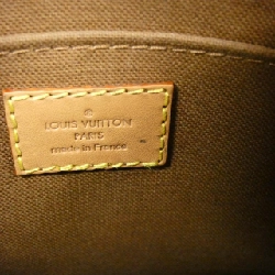 Túi xách Louis Vuitton Monogram Petit Sac Plat M81295 - Hàng hiệu Chính hãng 766318