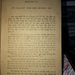 Chú bé rách rưới - Giêm Grin-út 973956