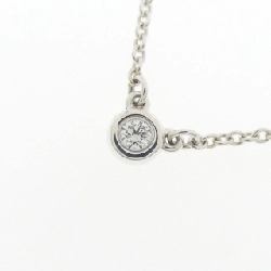 Dây chuyền Tiffany By The Yard - Hàng hiệu Authentic 840754