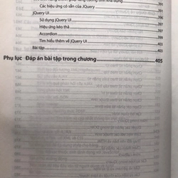 JAVASCRIPT HƯỚNG DẪN HỌC QUA VÍ DỤ 497157
