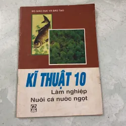 Kĩ thuật - 2000s