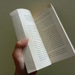 All the bright places ,sách ngoại văn tiếng Anh, english book, tiểu thuyết  603436