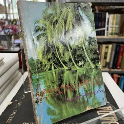 BÊN SÔNG VÀM CỎ - NGUYỄN THỊ LONG AN