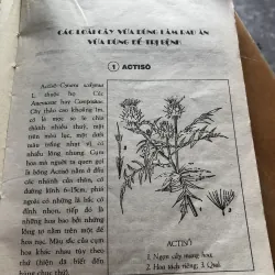 Cây rau làm thuốc 1000566