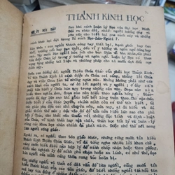 Thánh Kinh Học 🌻 521391
