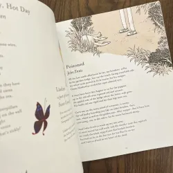 P is for Poetry: Poems from Irish Poets 973815