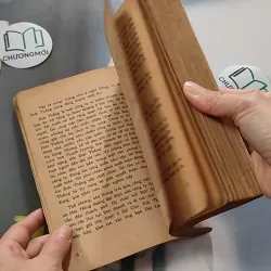 [XƯA] Đô La (1991) - Nguyễn Hữu Vang 776052