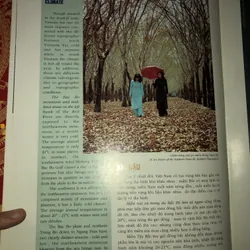 Có một Việt Nam như thế 721074