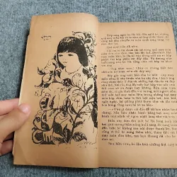 HẠT MAY MẮN - TRIỆU BÔN 689515