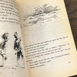 Misty of Chincoteague 972859