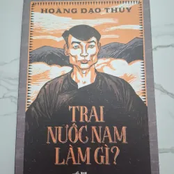 Trai nước Nam làm gì? – Hoàng Đạo Thúy