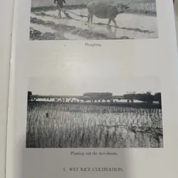 THE MAKING OF SOUTH EAST ASIA - SỰ HÌNH THÀNH ĐÔNG NAM Á  562132