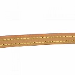 Túi xách Louis Vuitton Monogram Petit Sac Plat M81295 - Hàng hiệu Chính hãng 766318