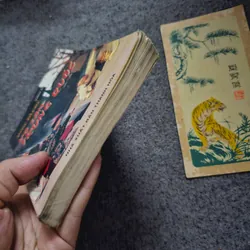 Võ lâm trung quốc 733967