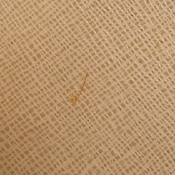 Túi Fendi Shopping Toudure MD 8BH250 D7E - Hàng hiệu Chính hãng 804502