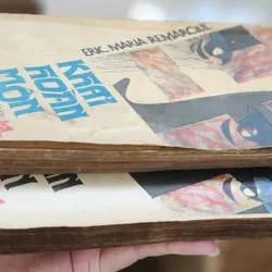 Trọn bộ 2 tập tiểu thuyết KHẢI HOÀN MÔN, nhà văn Erich Maria Remarque 705069