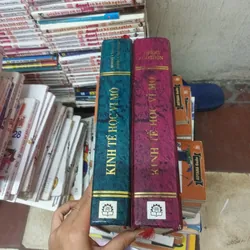 Kinh Tế Học Vi Mô+ Kinh Tế Học Vĩ Mô 696642