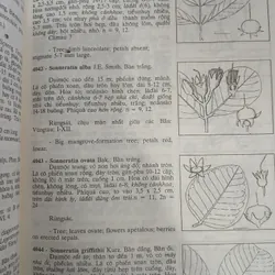 CÂY CỎ VIỆT NAM (QUYỂN I, II, III) - PHẠM HOÀNG HỘ 740112