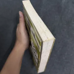 Cọ hoang, Âm thanh và cuồng nộ, Bọn đạo chích - William Faulkner 785112