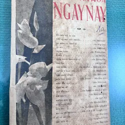 Văn hoá ngày nay của Nhất Linh 600454