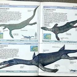 DINOSAURS AND PREHISTORIC LIFE- Tác giả HAZEL RICHARSON 1042891
