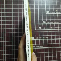 Nguyễn Huy Hổ với Mai Đình Mông Ký - Viện Văn Học 731182