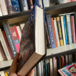 Bậc thầy của trò chơi Sidney Shldon bìa cứng  796512