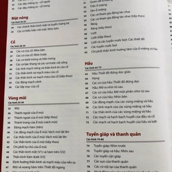 ATLAS GIẢI PHẪU NGƯỜI 5 479466
