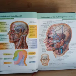 Atlas Giải Phẫu Người (Ấn Bản Lần Thứ 5) - Frank H. Netter, MD 570689